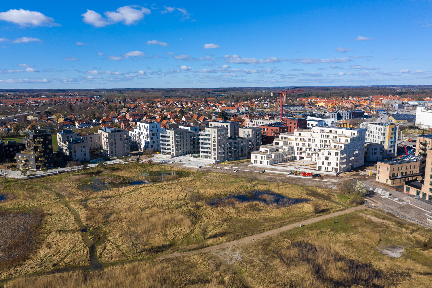 DJI 0236