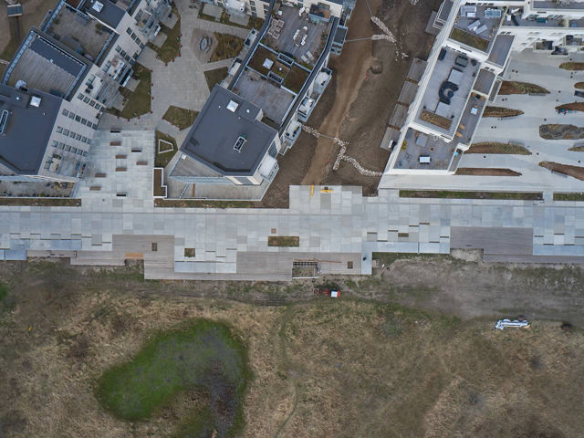 DJI 0224.DNG.P