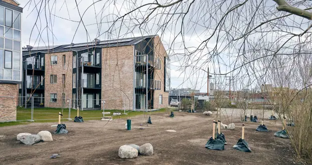 Træer i ny park ved Å-grunden Web