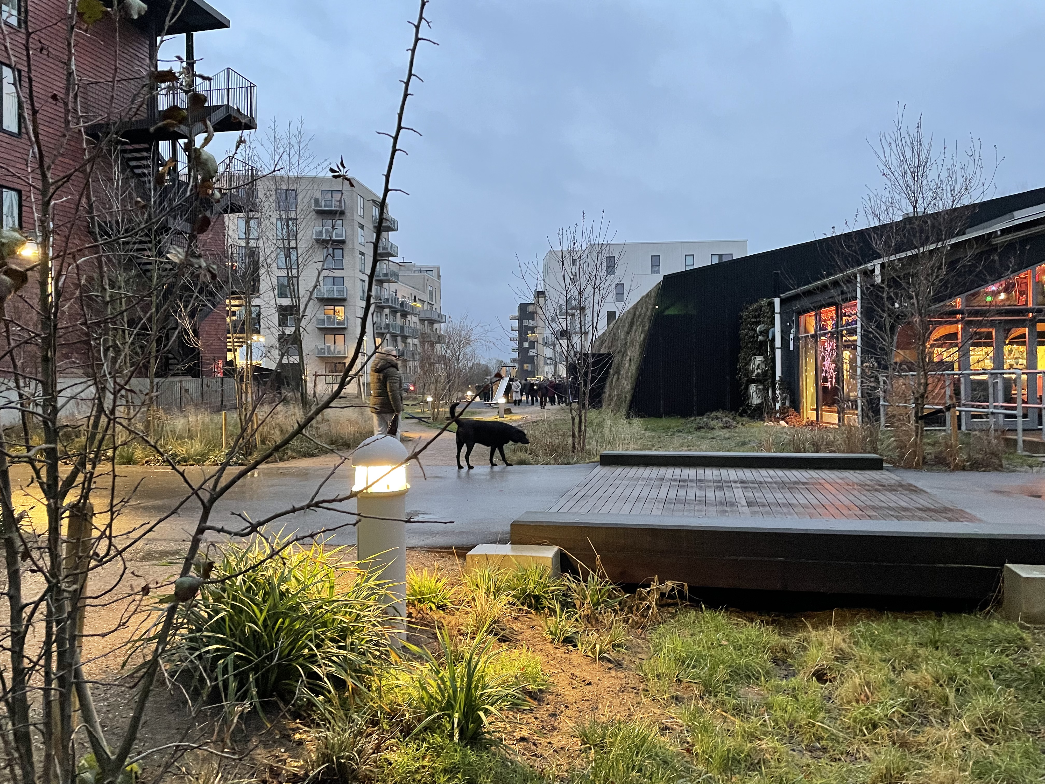 Pressefoto Almindingerne og Tapperiet
